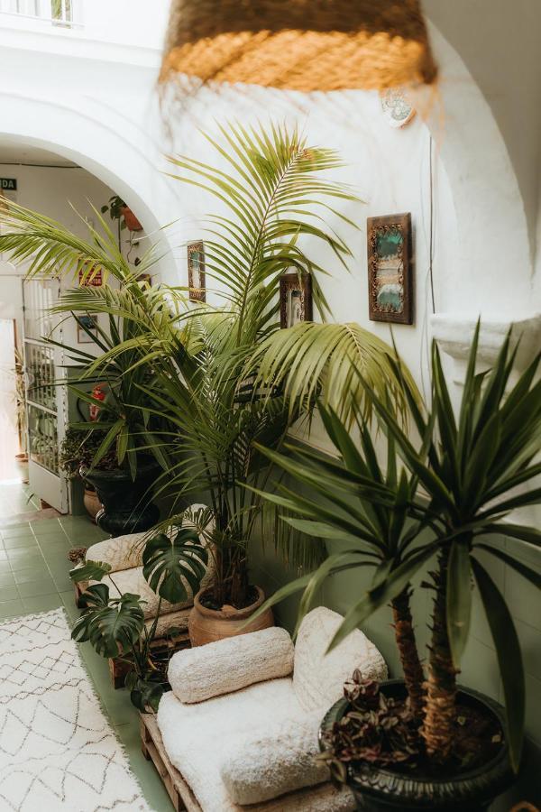 Hostal Africa Tarifa Kültér fotó
