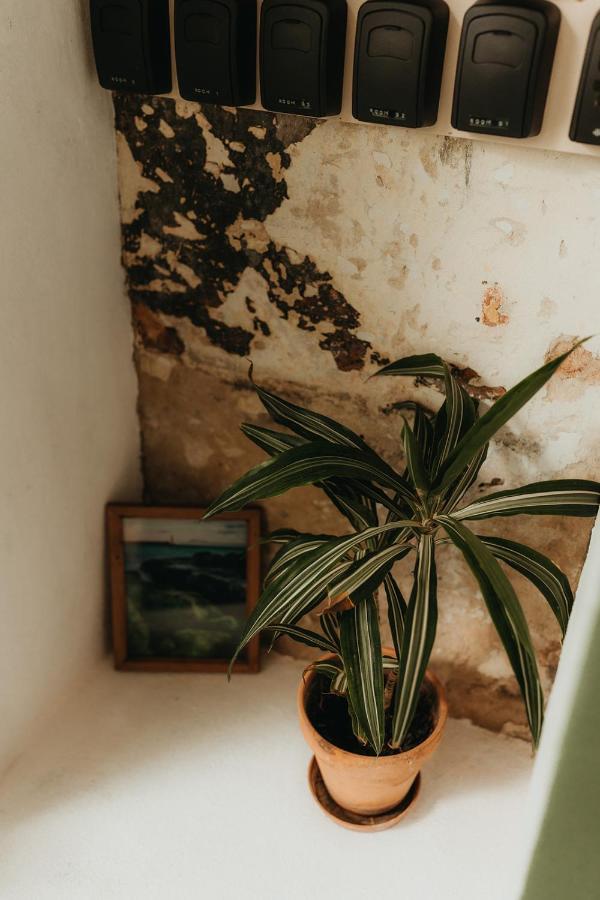Hostal Africa Tarifa Kültér fotó