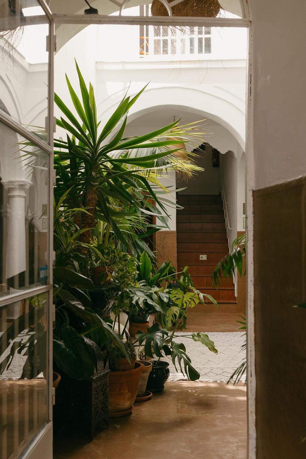 Hostal Africa Tarifa Kültér fotó