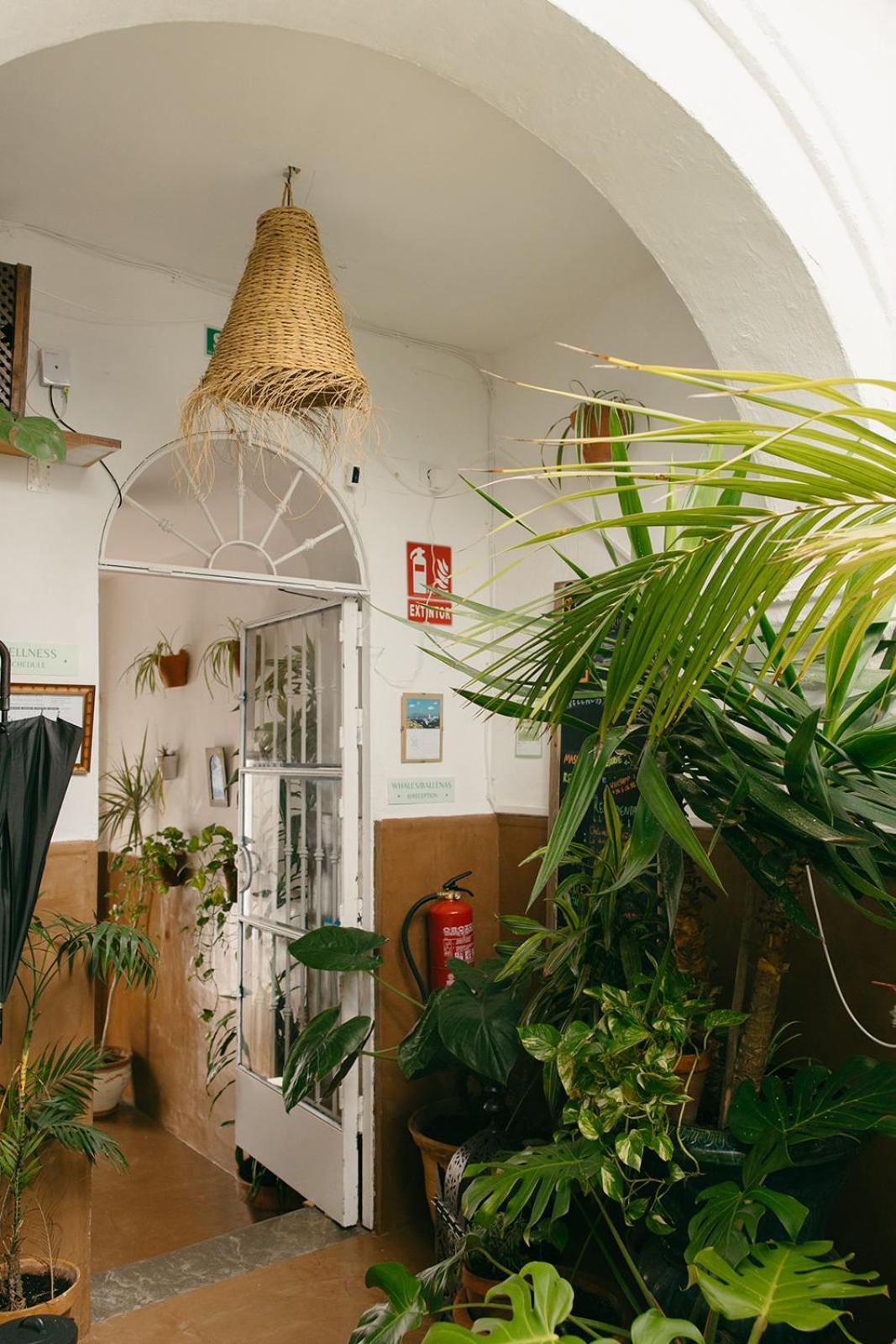 Hostal Africa Tarifa Kültér fotó
